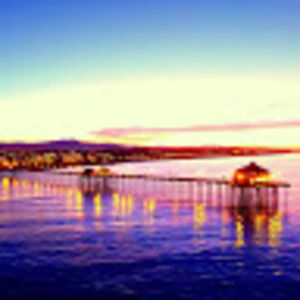 Meet your Posher, Twilla